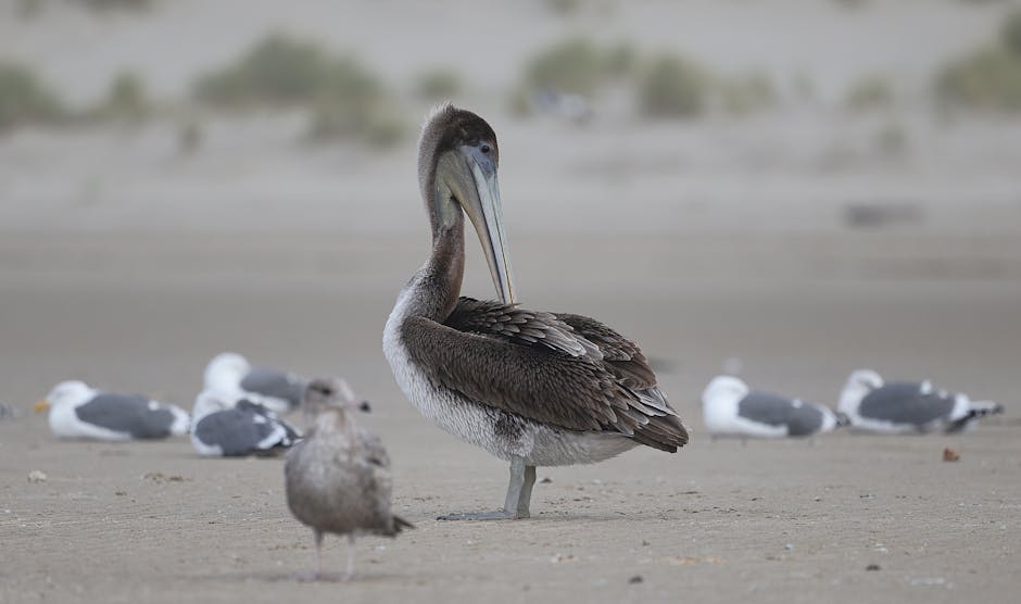 迷你倉：儲存生活的溫暖故事