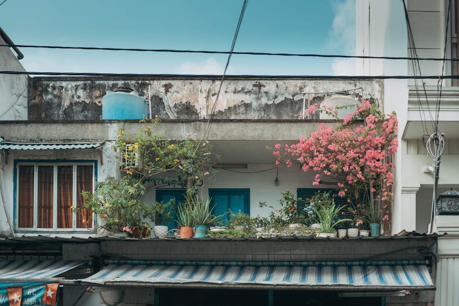 加拿大救生艇計劃：攜手走過逆境，點燃希望的火花
