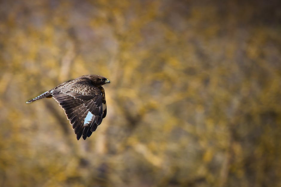 有效去眼袋方法大公開，輕鬆改善眼部疲勞